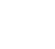 Outdoor Games with Pets
