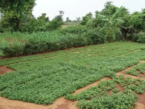 Pre Wedding Photoshoot Bangalore