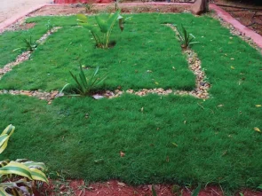 Pre Wedding Photoshoot near Bangalore