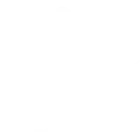 Resorts Allowing Swimming with Pets