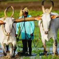 sustainable-tourism