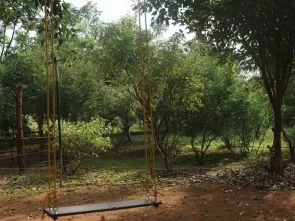 The Best Pre Wedding Photo Shoot Locations in Bangalore