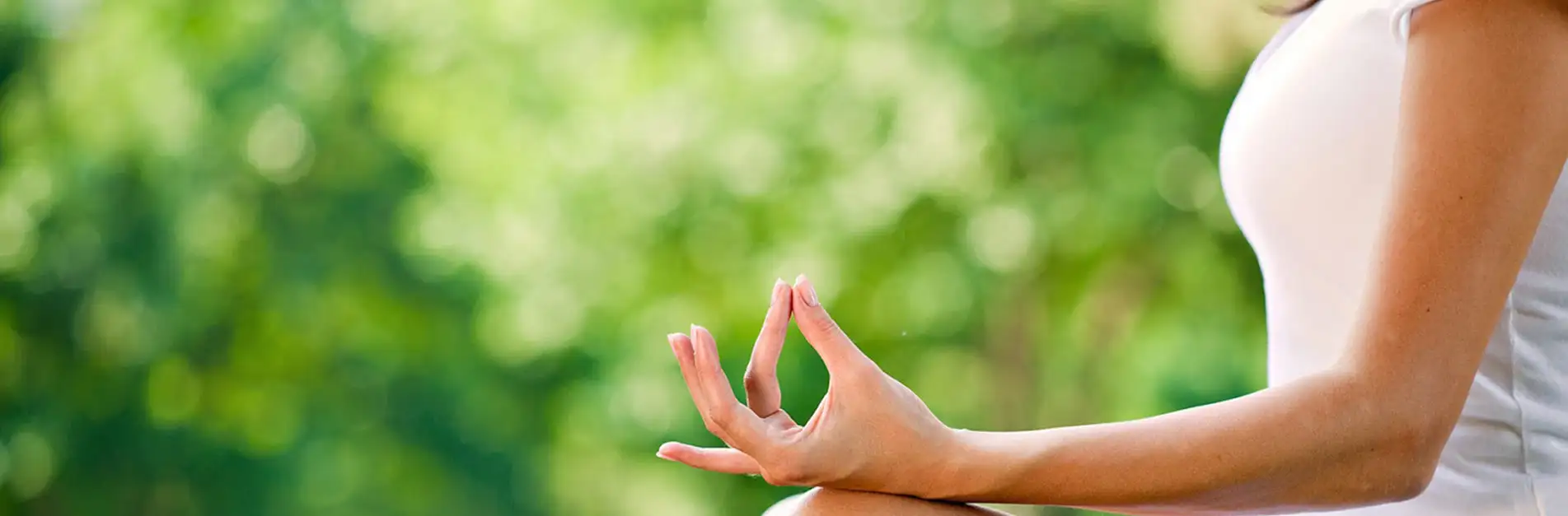 Yoga session amidst nature at ChukkiMane resort