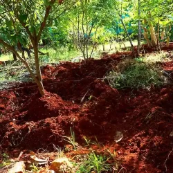 eco-organic-farm-at-chukkimane