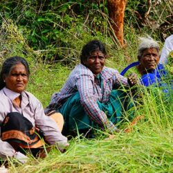 hardworking-ever-smiling-women-working-hard-in-the-farm