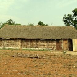 kutcha-house-hut-built-with-straw-leaves-mud-wood