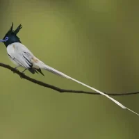 national-park-bangalore