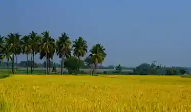 nature-photography-tours