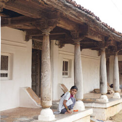 old-houses-with-multiple-pillars