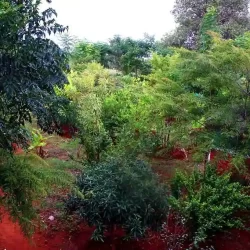 organic-farming-view-chukkimane