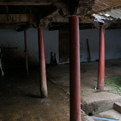 shelter-for-cattles-in-village-near-bangalore