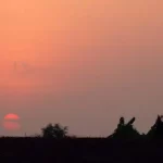 Sunset Room Chukkimane Sunset Room Chukkimane