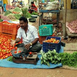 vegetable-vendor-at-local-fair