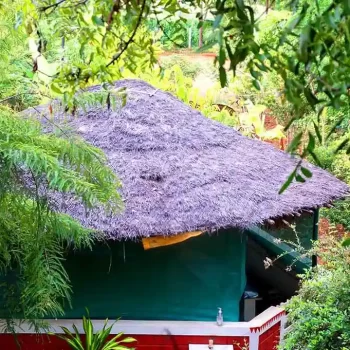 view-from-sunset-room-chukkimane