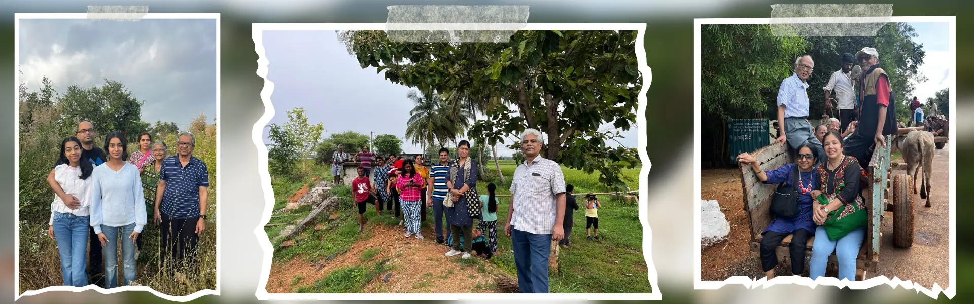 Unwind Amidst Nature Near Shivanasamudra Falls