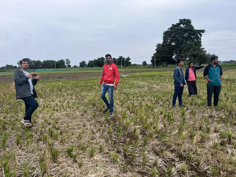 Employees participating in a leadership activity outdoors