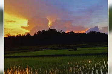Sunrise on The Farm
