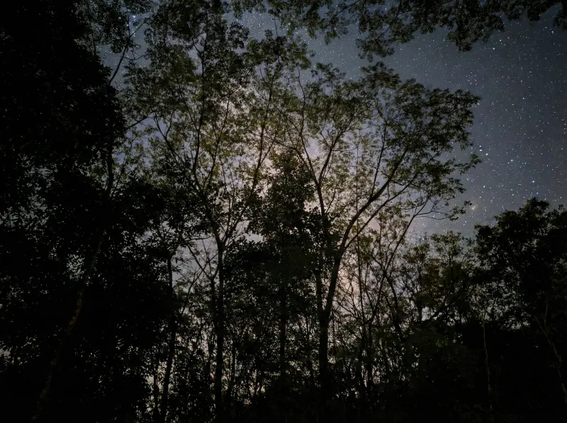 Night Walk & Stargazing – Under the Cosmic Canopy