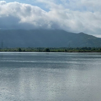 Close up Macro Photo Captured on The Nature Trail