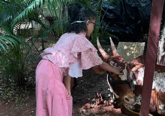 Cow-Based Natural Agriculture