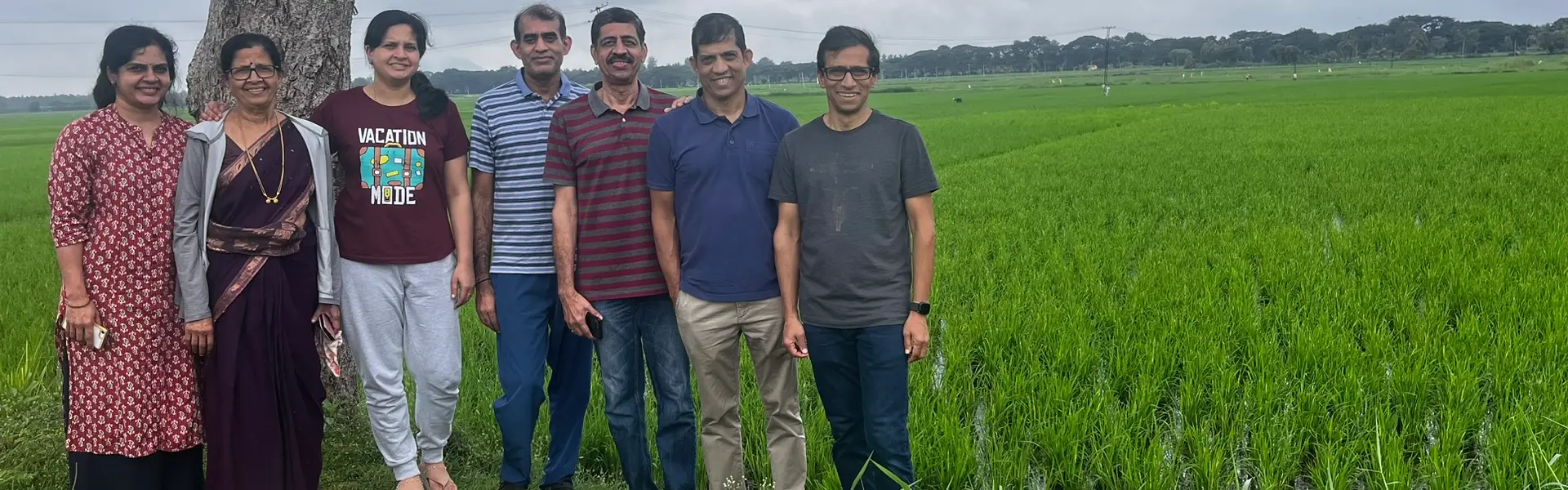Early morning view of the food forest canopy at ChukkiMane