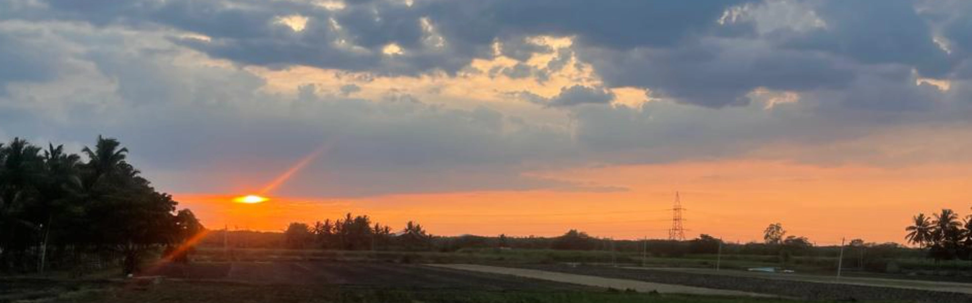 Nature Photography Karnataka