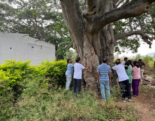 Regenerative agriculture practices in Karnataka