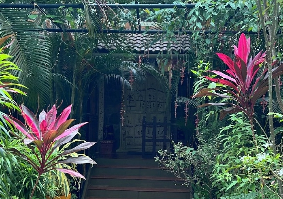 Visitor photographing textures and plants along the rural trail.