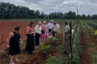 Visitors exploring agri tourism at ChukkiMane