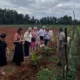 Visitors exploring agri tourism at ChukkiMane
