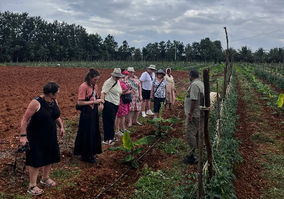 Visitors relaxing under the banyan tree at ChukkiMane