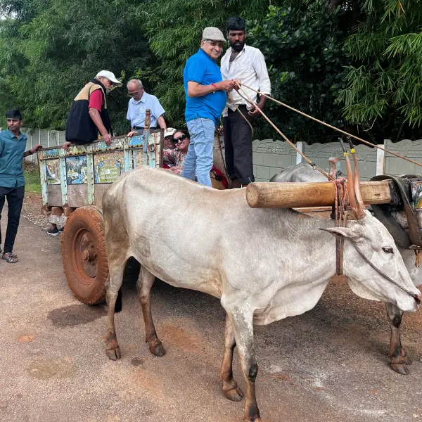 Bullock Cart Safari at ChukkiMane Eco Village