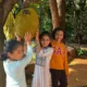 Jackfruit Tree with Giant Fruit Backyard Village