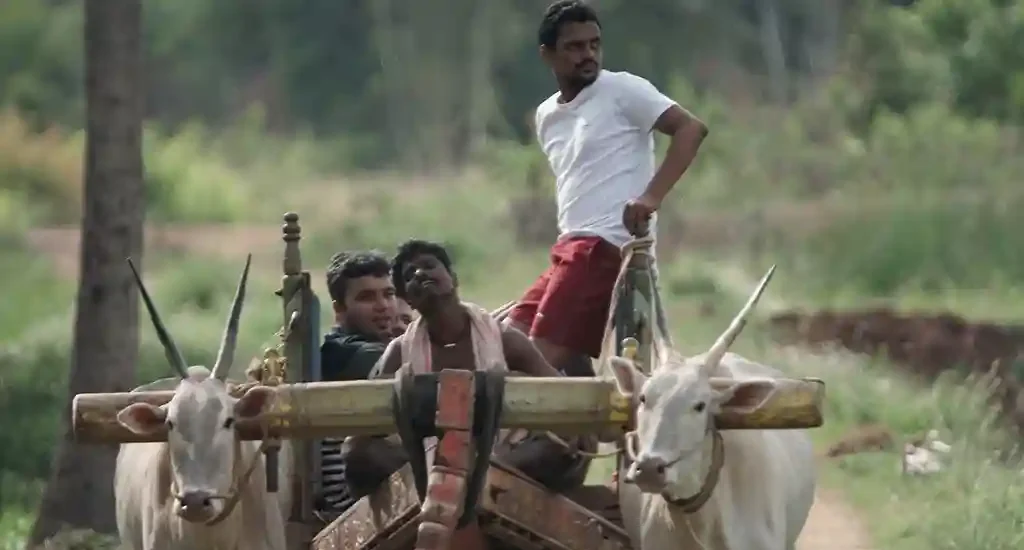bullock-cart-riding-ChukkiMane
