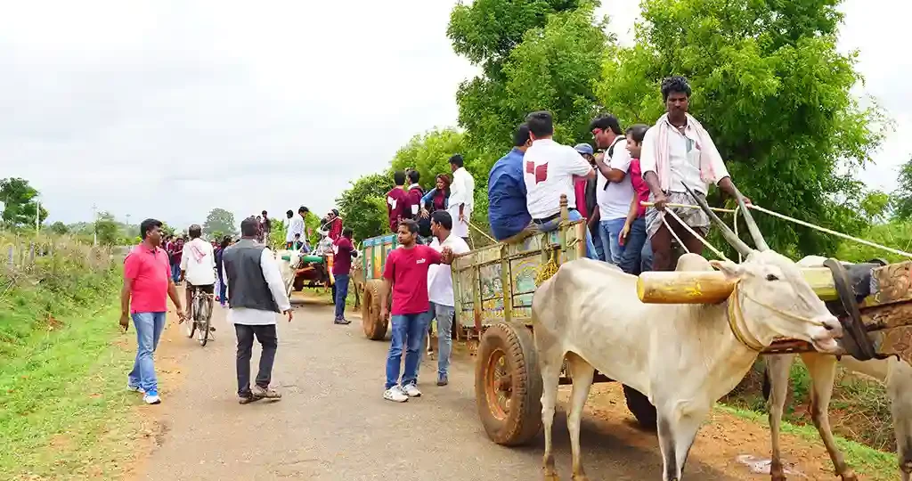 Activities post lunch