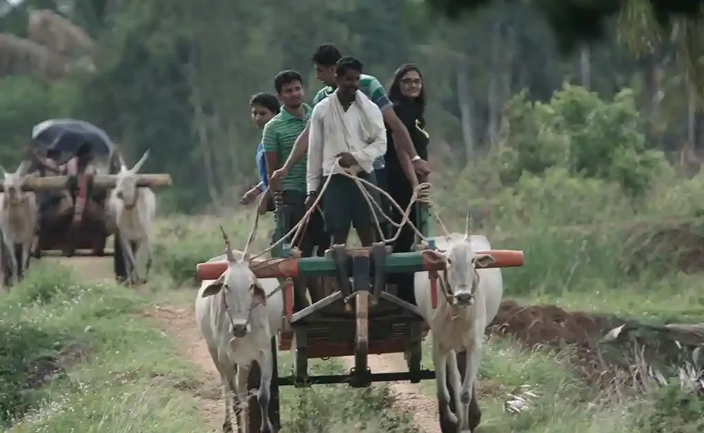 Tourists Enjoying Bullock Cart Ride