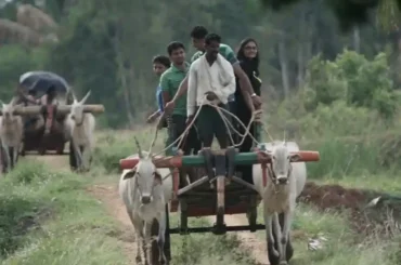 Tourists Enjoying Bullock Cart Ride