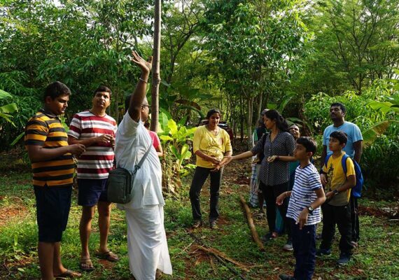 Farm Exploring Activity
