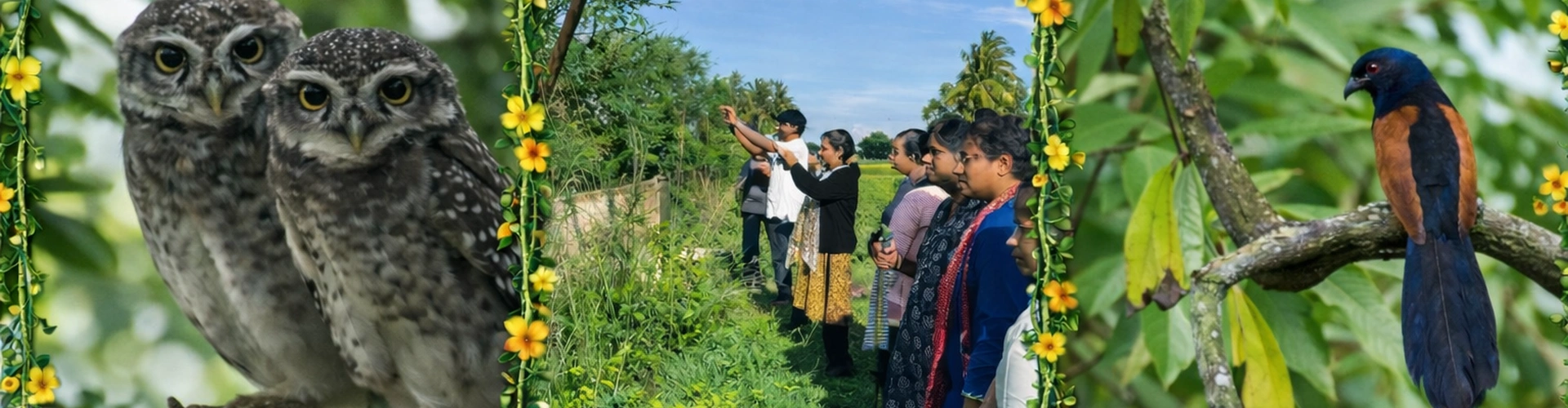 Bird Photography Experience