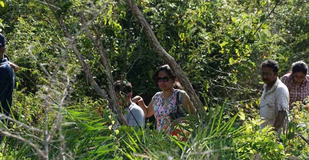 good-weekends-treks-around-bangalore