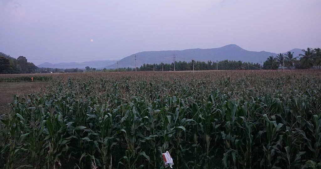 village-tour-places-near-bangalore