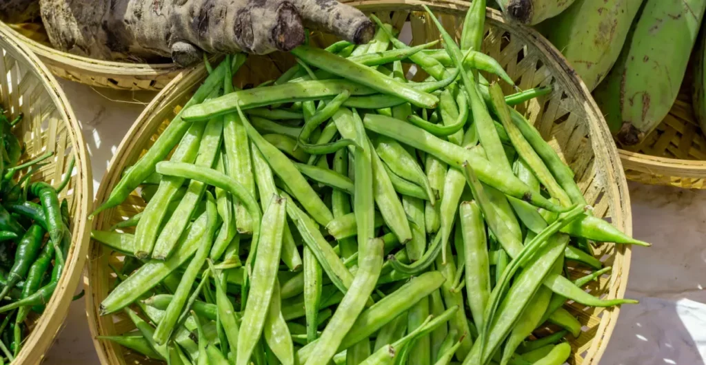 Cluster beans harvested at ChukkiMane