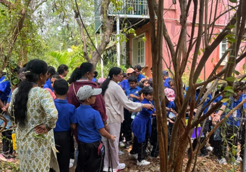 Experiential learning in nature