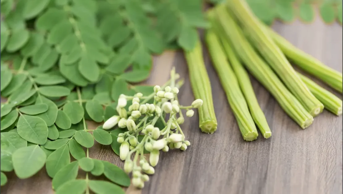 Moringa health benefits