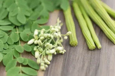 Moringa health benefits