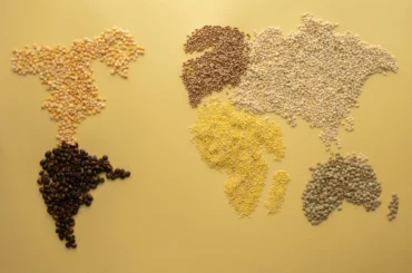 Millets Worldmap