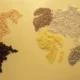 Millets Worldmap