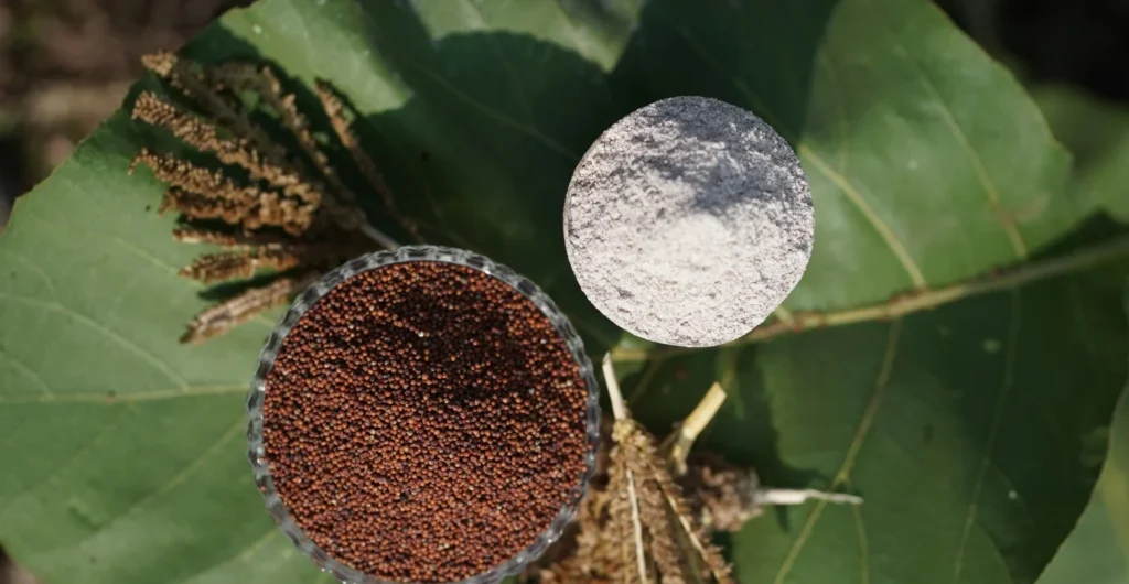 The power of Ragi millet