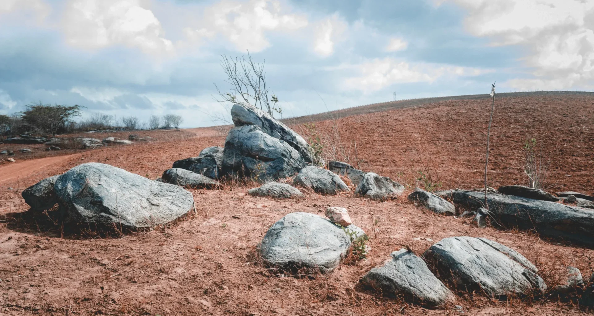 Barren land that can be converted to high profitable Experiential tourism spot Barren land that can be converted to high profitable Experiential tourism spot