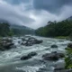 Majestic Kaveri River during Monsoon